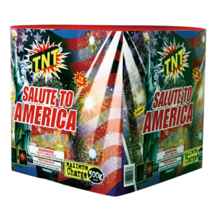 SALUTE TO AMERICA SALUTE TO AMERICA