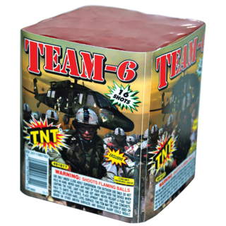 TEAM-6 Firework Aerial Finale Team 6