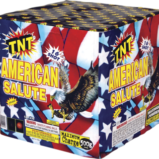 AMERICAN SALUTE 500 Gram Firework Aerial Finale American Salute
