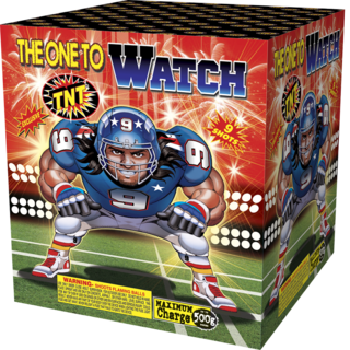 The One To Watch 500 Gram Firework Aerial Finale The One To Watch