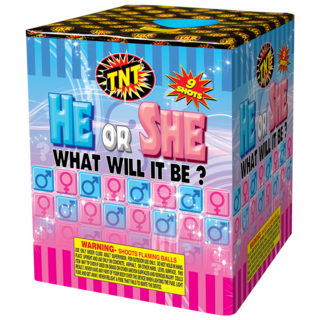 HE OR SHE WHAT WILL IT BE? BOY Firework Aerial Finale He Or She What Will It Be? Boy